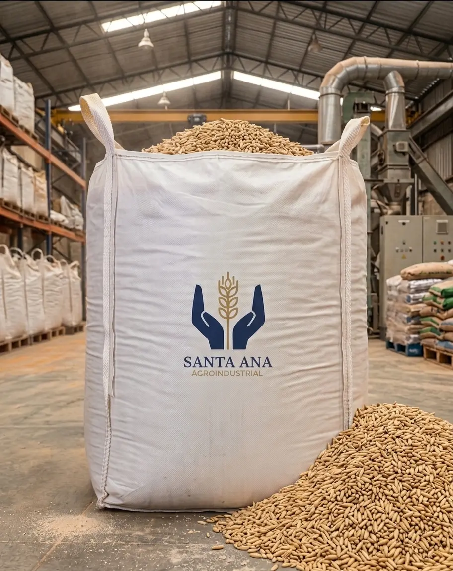 Avena